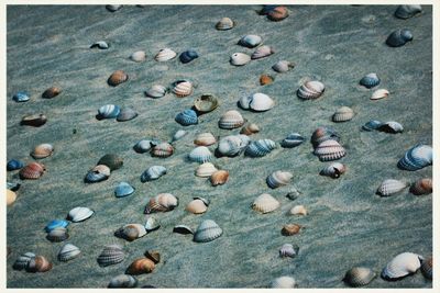 Full frame shot of pebbles on beach