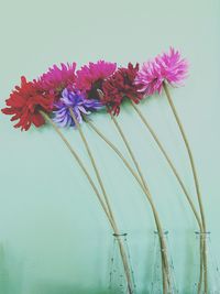 Low angle view of flowers