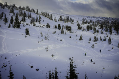 Scenic view of tree mountains against sky during winter