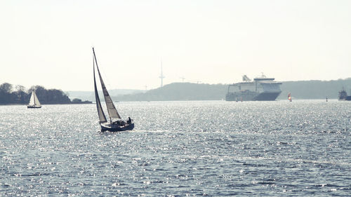 Sailboat sailing on sea against clear sky