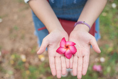 Midsection of woman holding flower while standing on land