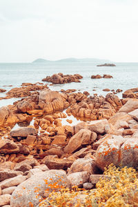 Rocks on beach against sky