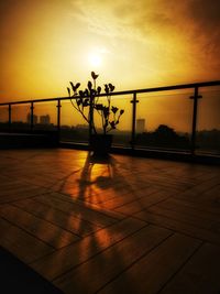 Silhouette plants by railing against orange sky