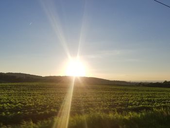 Scenic view of field against bright sun