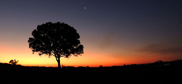 Silhouette tree on landscape against the sky