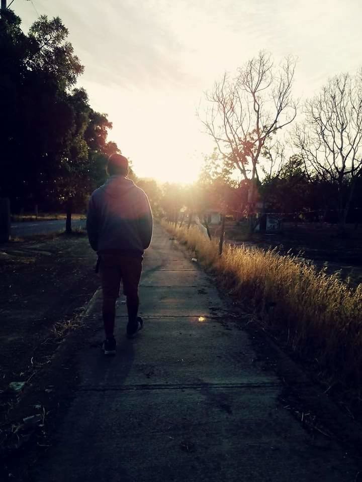 REAR VIEW OF MAN WALKING ON ROAD AMIDST TREES