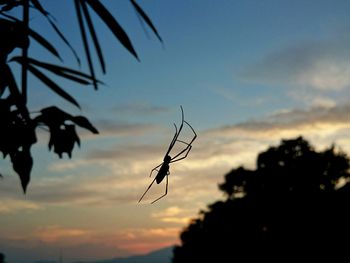 Low angle view of sky at sunset