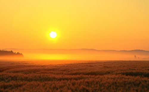 Scenic view of field against sky during sunset