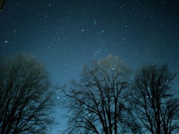 Low angle view of bare trees against sky at night