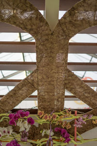 Low angle view of flowering plants against sky