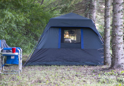 View of tent in forest