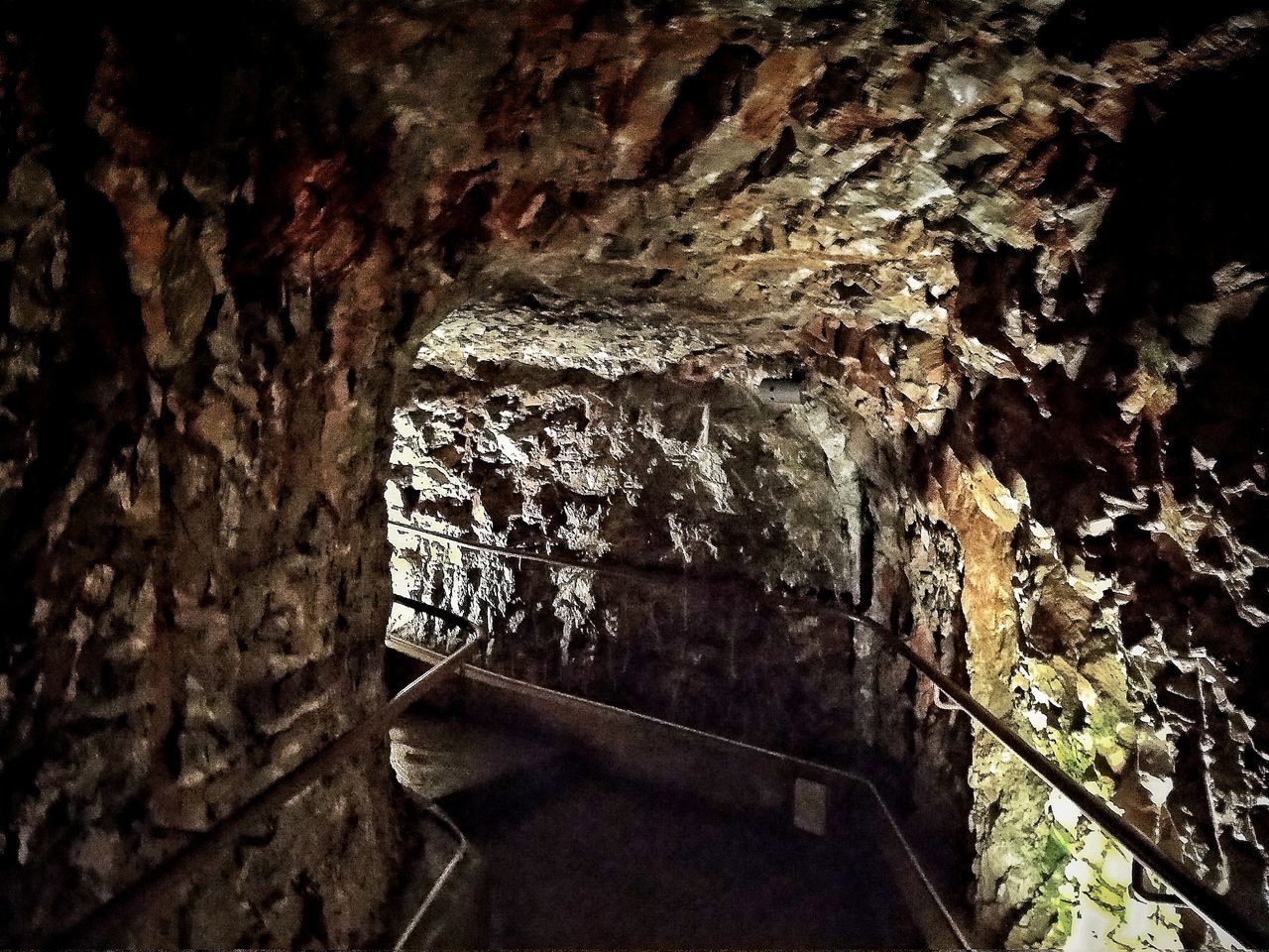 CLOSE-UP OF TREE TRUNK AGAINST CAVE