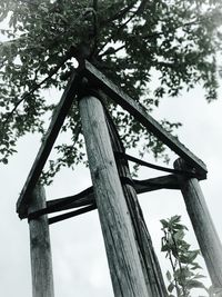 Low angle view of tree against sky