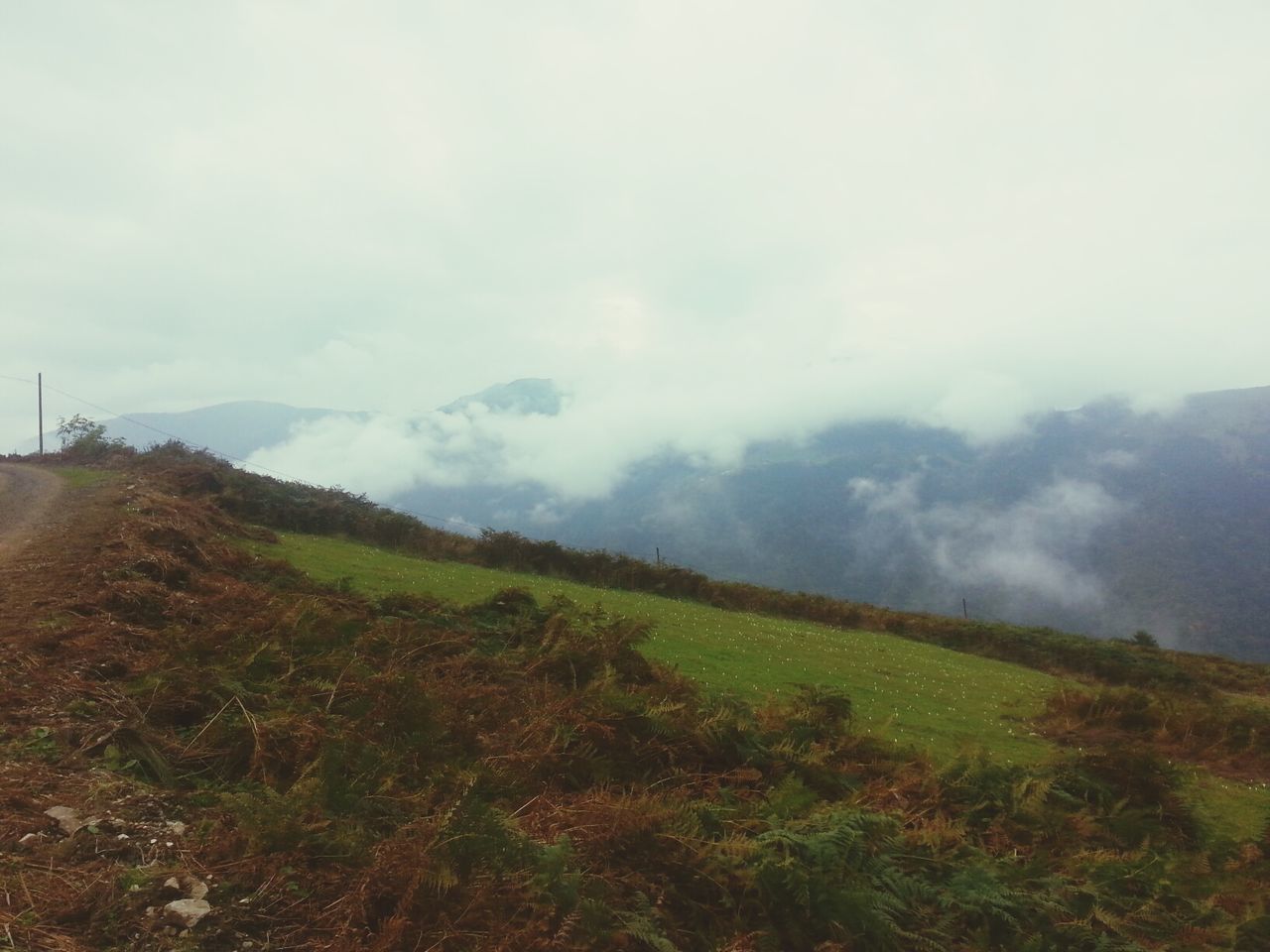 landscape, tranquil scene, tranquility, sky, grass, scenics, mountain, beauty in nature, field, nature, fog, weather, non-urban scene, grassy, cloud - sky, remote, day, idyllic, growth, foggy