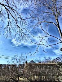 Low angle view of bare trees against blue sky