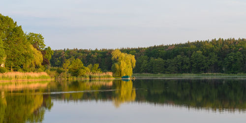 Scenic view of lake in forest against sky