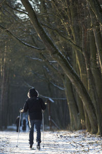 Full length rear view of man standing in forest