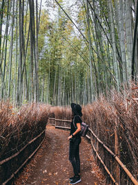Woman with hat standing by bamboo trees in forest