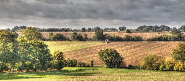 Scenic view of farm against sky