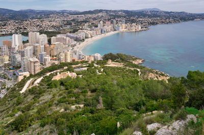 High angle view of buildings and trees in city