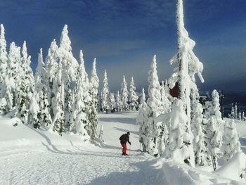 Rear view of person skiing on field against sky during winter