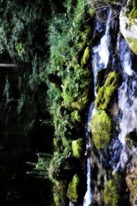 Close-up of waterfall in forest