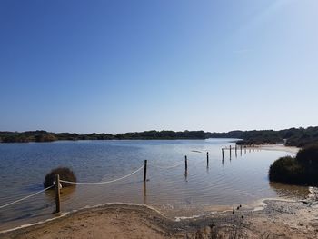 Scenic view of lake against clear blue sky