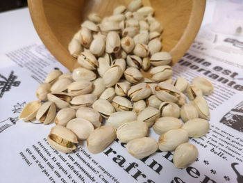 High angle view of shells on book