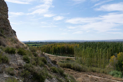 Scenic view of landscape against sky