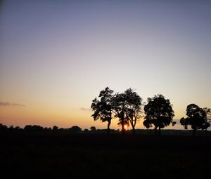 Silhouette trees on field against sky during sunset