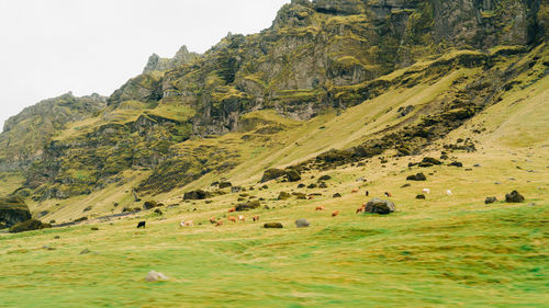 Scenic view of landscape