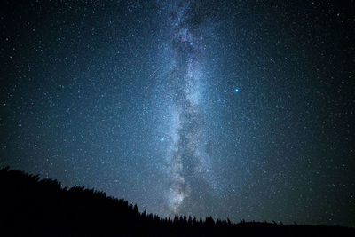 Low angle view of silhouette trees against star field at night