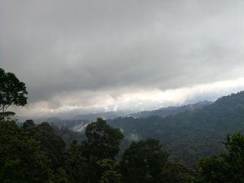 Scenic view of trees and mountains against sky