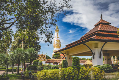 Trees and plants growing at wat phra that phanom