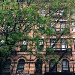 Low angle view of building
