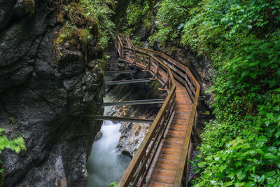 Footbridge over river amidst trees in forest
