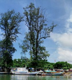 Boats moored on river by trees against sky