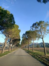 Road amidst trees against sky