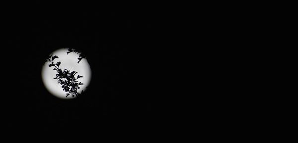 Low angle view of fire against black background