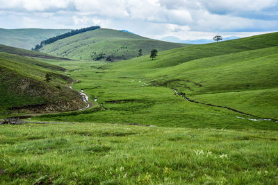 Scenic view of landscape against sky