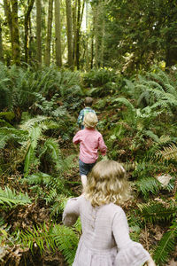 View from behind of three young children hiking through the forest