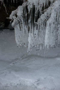 Close-up of frozen water