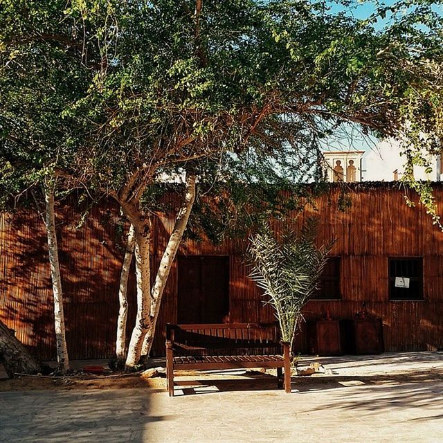 architecture, built structure, building exterior, tree, house, residential structure, residential building, wall - building feature, sunlight, window, day, no people, door, outdoors, branch, shadow, sidewalk, gate, wall, growth