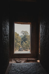 Trees and building seen through window