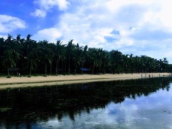 Scenic view of lake by trees against sky