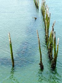 High angle view of wooden post in lake