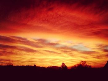 Silhouette of trees at sunset