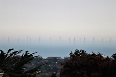 Trees and plants against sky