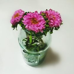 Close-up of flower vase against white background