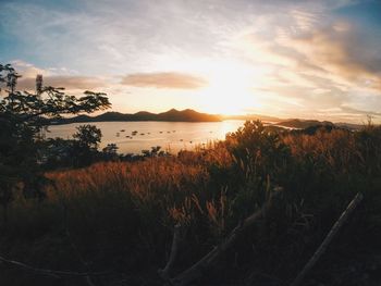 Scenic view of sunset over river